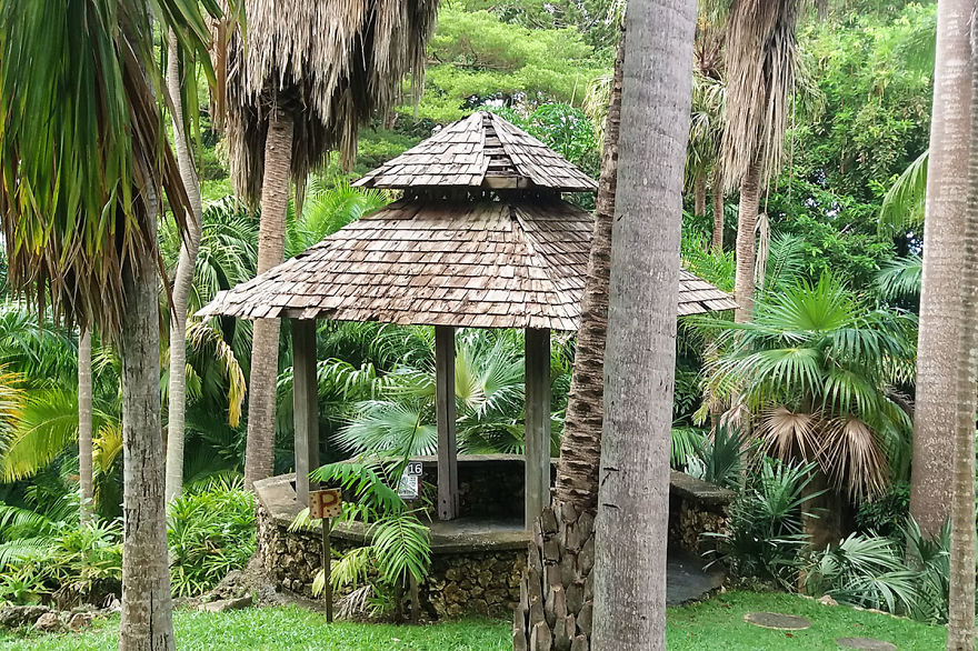 I Spent A Few Hours Exploring Andromeda Botanic Gardens I Spent A Few Hours Exploring Andromeda Botanic Gardens
