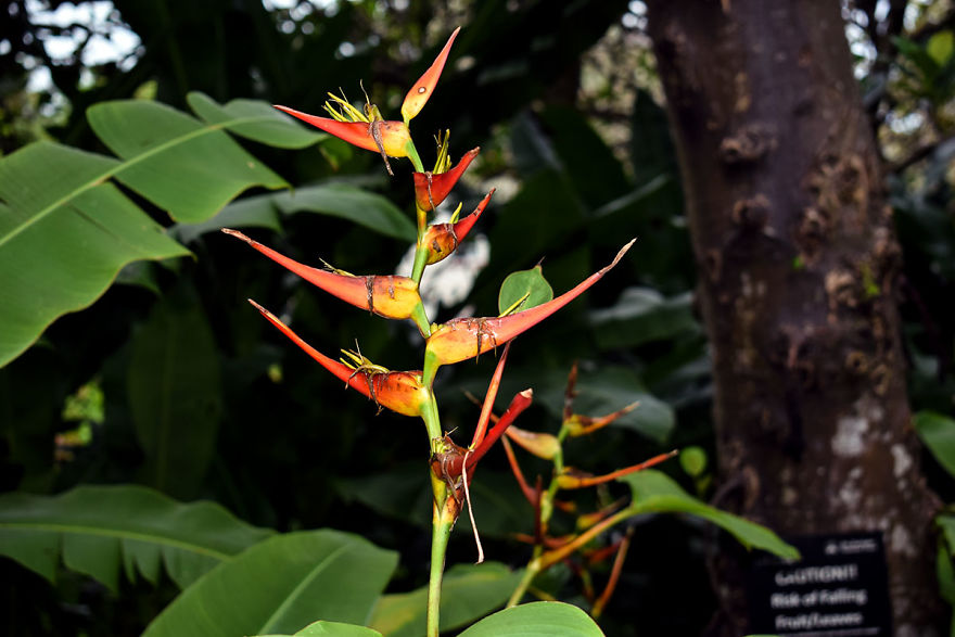 I Spent A Few Hours Exploring Andromeda Botanic Gardens I Spent A Few Hours Exploring Andromeda Botanic Gardens