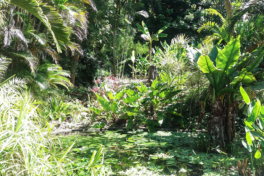 I Spent A Few Hours Exploring Andromeda Botanic Gardens I Spent A Few Hours Exploring Andromeda Botanic Gardens