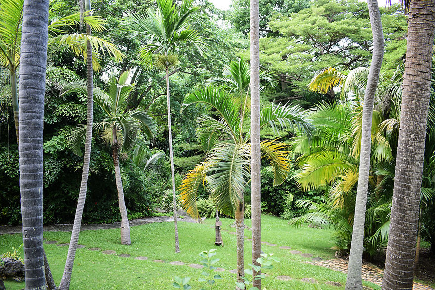 I Spent A Few Hours Exploring Andromeda Botanic Gardens I Spent A Few Hours Exploring Andromeda Botanic Gardens