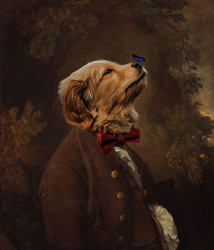 Picture Of A Beautiful Puppy With A Butterfly Inspired A Photoshop Battle And Here Are 11 Of The Best Examples Picture Of A Beautiful Puppy With A Butterfly Inspired A Photoshop Battle And Here Are 11 Of The Best Examples