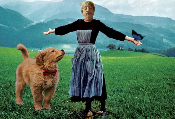 Picture Of A Beautiful Puppy With A Butterfly Inspired A Photoshop Battle And Here Are 11 Of The Best Examples Picture Of A Beautiful Puppy With A Butterfly Inspired A Photoshop Battle And Here Are 11 Of The Best Examples