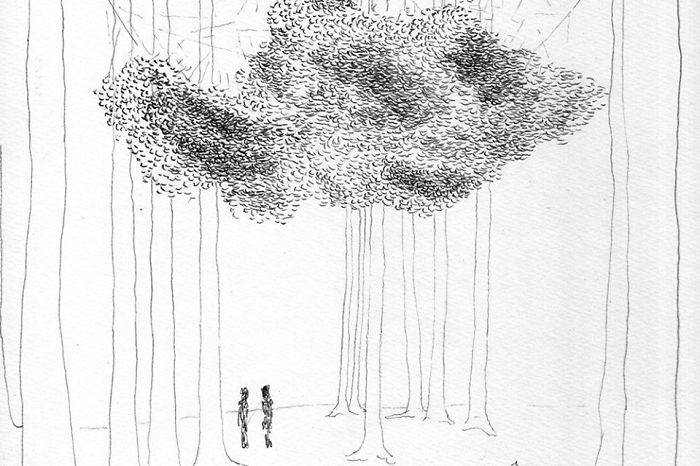 Rainwater &#8216;Chandelier&#8217; Installation Can Collect Up To 800 Pounds Of Water