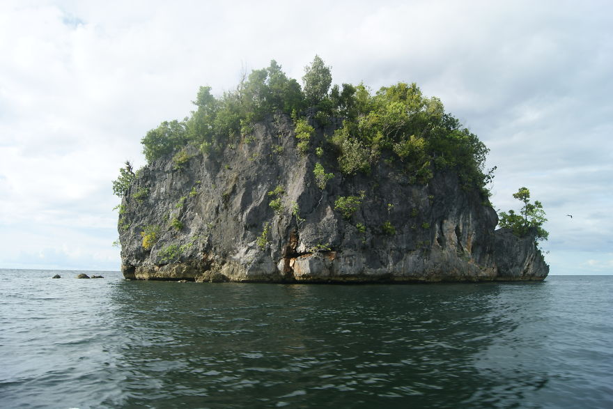 I Went To Fakfak To Enjoy The Beach, Cave, And Saw Bats I Went To Fakfak To Enjoy The Beach, Cave, And Saw Bats