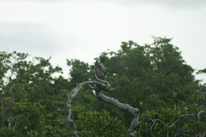 I Went To Fakfak To Enjoy The Beach, Cave, And Saw Bats I Went To Fakfak To Enjoy The Beach, Cave, And Saw Bats