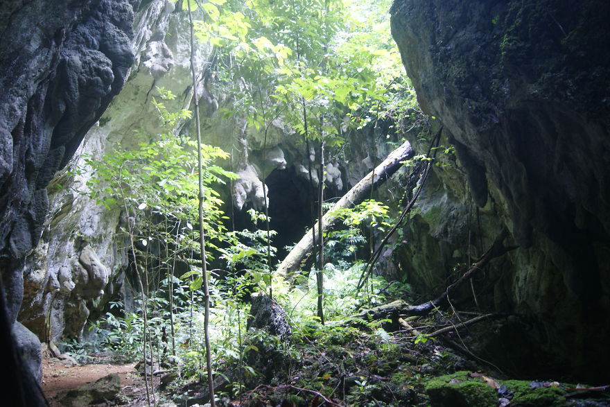 I Went To Fakfak To Enjoy The Beach, Cave, And Saw Bats I Went To Fakfak To Enjoy The Beach, Cave, And Saw Bats