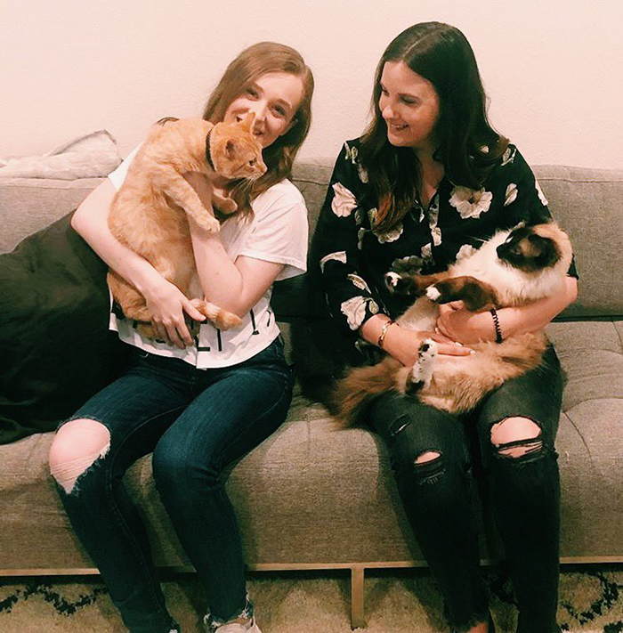 These Two Cats Fell In Love After Seeing Each Other Through Windows, Their Owners Make Sure They Get A Date These Two Cats Fell In Love After Seeing Each Other Through Windows, Their Owners Make Sure They Get A Date