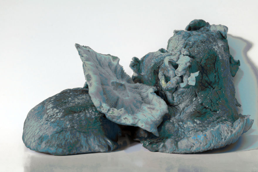 Coral Reefs Or Broccoli? Coral Reefs Or Broccoli?