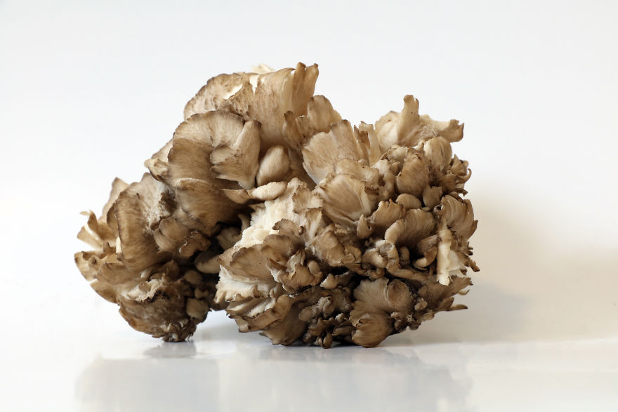 Coral Reefs Or Broccoli? Coral Reefs Or Broccoli?