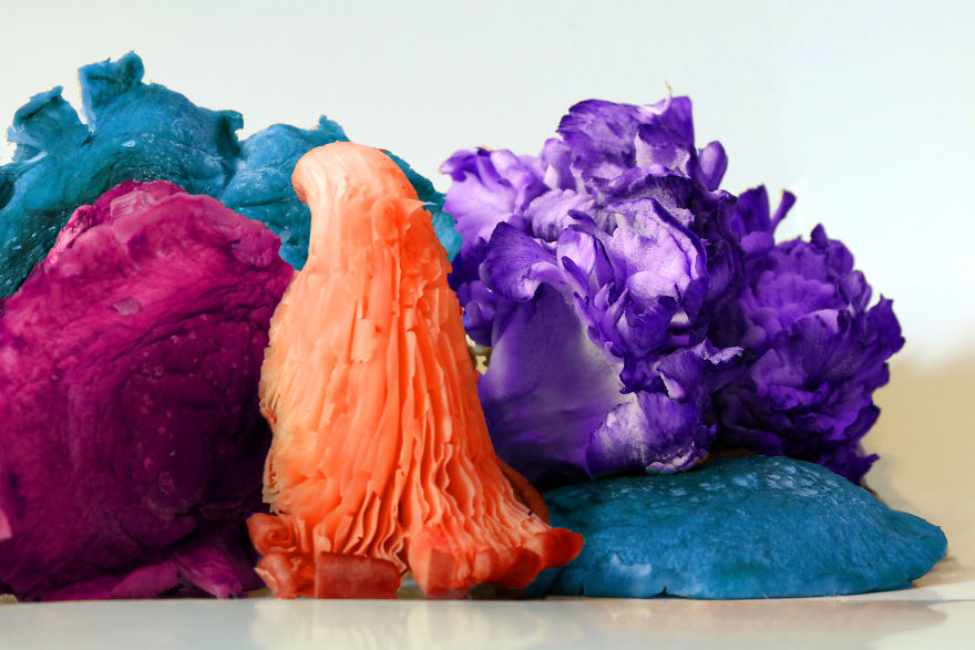 Coral Reefs Or Broccoli? Coral Reefs Or Broccoli?