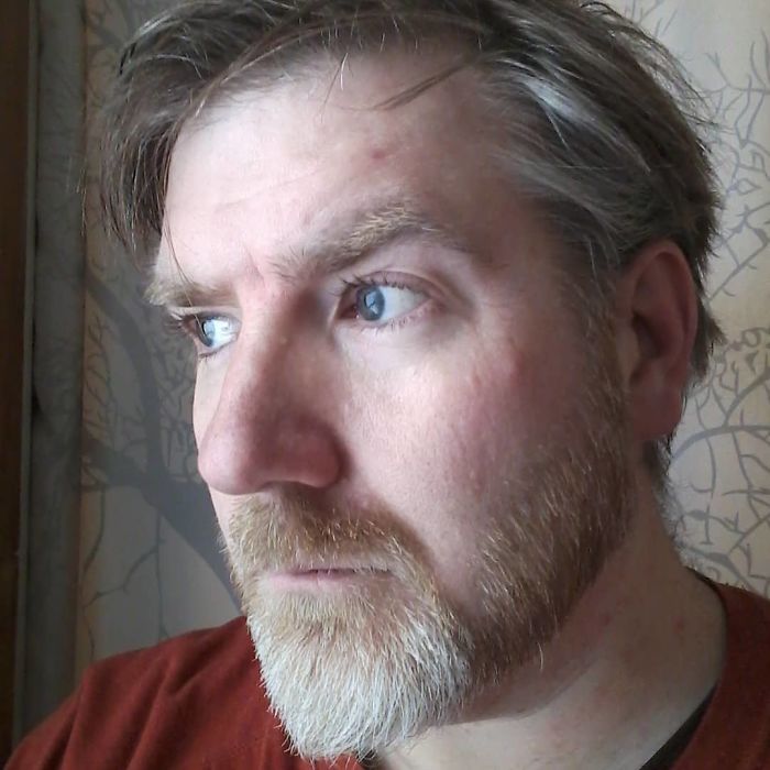 Man Creates Indoor Fake Tree For A Cat, And The Master Approves Of It Man Creates Indoor Fake Tree For A Cat, And The Master Approves Of It