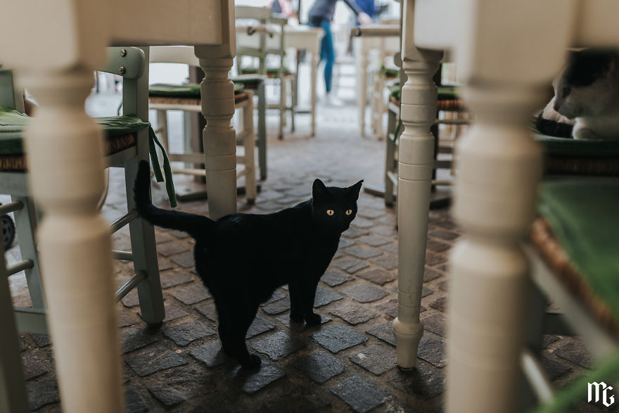 I Just Returned From My Trip To Crete. Trust Me, You Will Love That Place! I Just Returned From My Trip To Crete. Trust Me, You Will Love That Place!