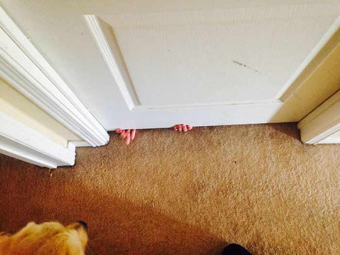 45 Kids That Have No Idea How Funny They Are (New Pics) 45 Kids That Have No Idea How Funny They Are (New Pics)