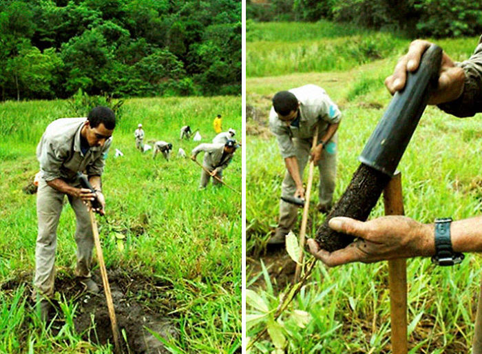 Photographer And His Wife Plant 2 Million Trees In 20 Years To Restore A Destroyed Forest And Even The Animals Have Returned Photographer And His Wife Plant 2 Million Trees In 20 Years To Restore A Destroyed Forest And Even The Animals Have Returned