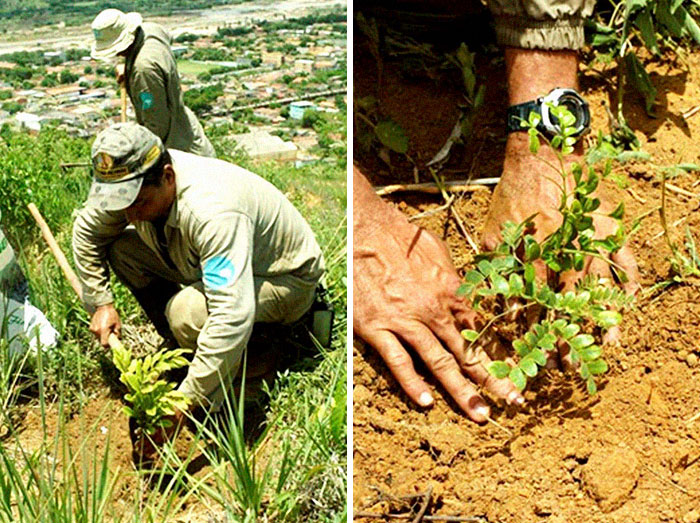 Photographer And His Wife Plant 2 Million Trees In 20 Years To Restore A Destroyed Forest And Even The Animals Have Returned Photographer And His Wife Plant 2 Million Trees In 20 Years To Restore A Destroyed Forest And Even The Animals Have Returned