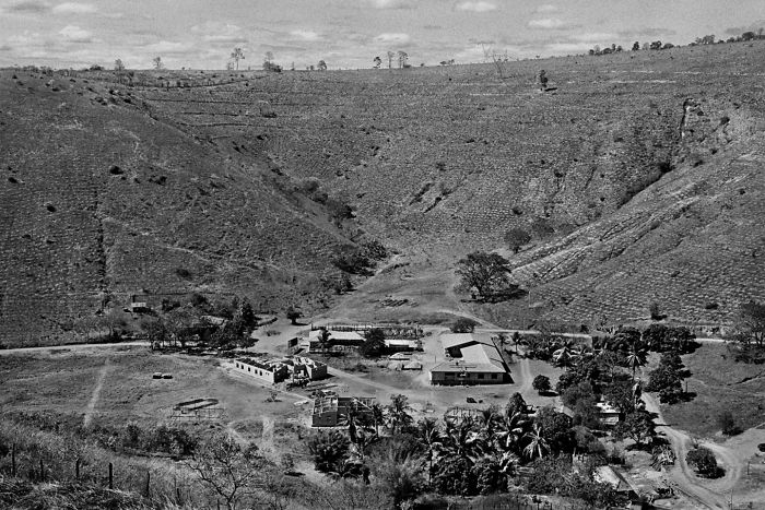 Photographer And His Wife Plant 2 Million Trees In 20 Years To Restore A Destroyed Forest And Even The Animals Have Returned Photographer And His Wife Plant 2 Million Trees In 20 Years To Restore A Destroyed Forest And Even The Animals Have Returned