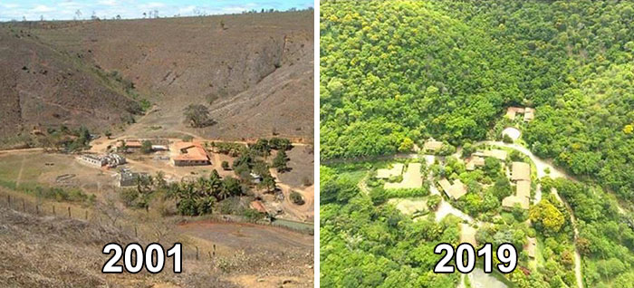 Photographer And His Wife Plant 2 Million Trees In 20 Years To Restore A Destroyed Forest And Even The Animals Have Returned Photographer And His Wife Plant 2 Million Trees In 20 Years To Restore A Destroyed Forest And Even The Animals Have Returned