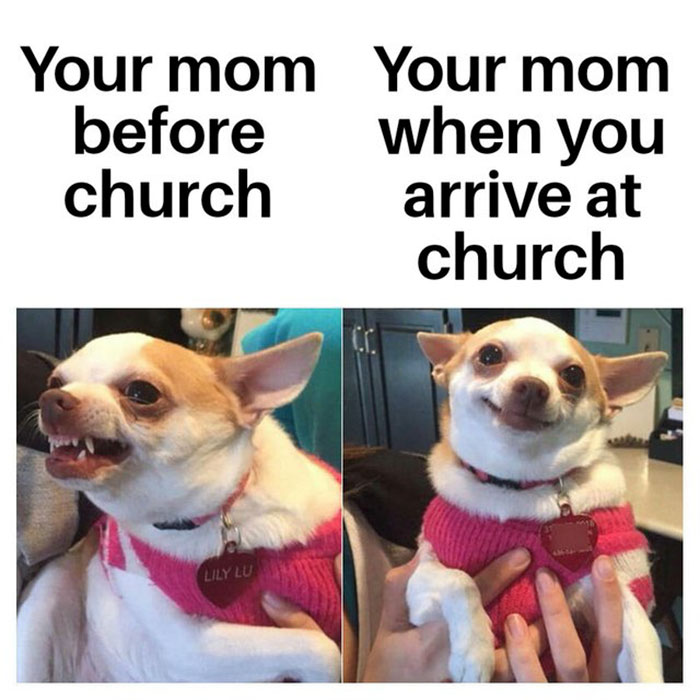 65 Christian Memes That Are Funny Regardless Of Your Religion (New Memes) 65 Christian Memes That Are Funny Regardless Of Your Religion (New Memes)