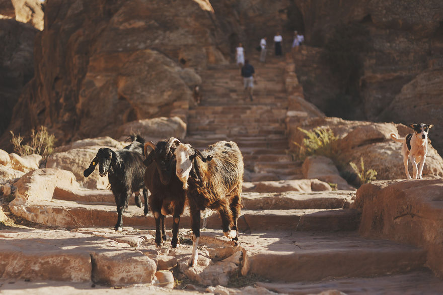 Experience Jordan Experience Jordan