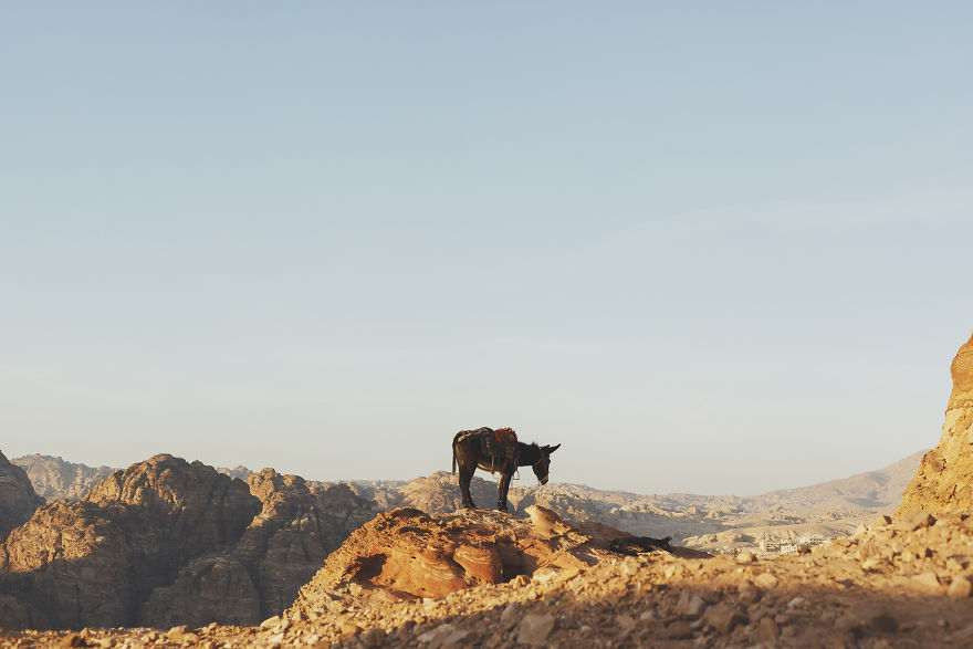 Experience Jordan Experience Jordan