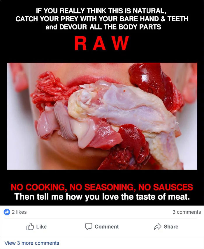 Vegan Asks People To Try Hunting Animals And Eating Them Raw In Order To See How Unnatural It Is For Humans, Gets Roasted Badly Vegan Asks People To Try Hunting Animals And Eating Them Raw In Order To See How Unnatural It Is For Humans, Gets Roasted Badly