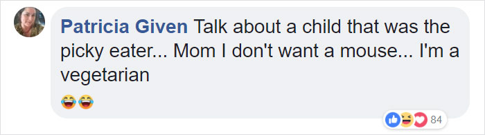 Duckling Gets Raised By An Owl And The Photos Are Adorable