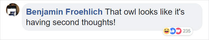 Duckling Gets Raised By An Owl And The Photos Are Adorable