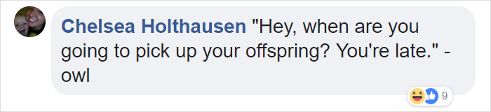 Duckling Gets Raised By An Owl And The Photos Are Adorable