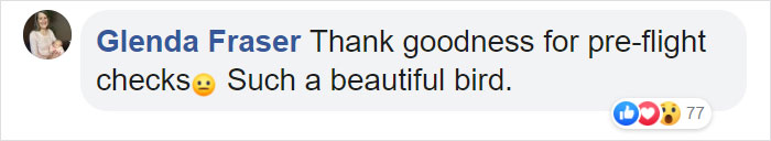 During Pre-Flight Check, Engineers Discover An Owl Taking A Nap In The Plane’s Engine During Pre-Flight Check, Engineers Discover An Owl Taking A Nap In The Plane’s Engine