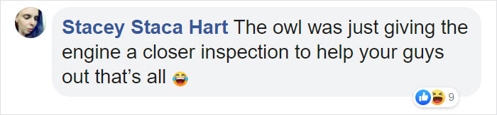 During Pre-Flight Check, Engineers Discover An Owl Taking A Nap In The Plane’s Engine During Pre-Flight Check, Engineers Discover An Owl Taking A Nap In The Plane’s Engine