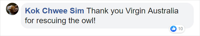 During Pre-Flight Check, Engineers Discover An Owl Taking A Nap In The Plane’s Engine During Pre-Flight Check, Engineers Discover An Owl Taking A Nap In The Plane’s Engine