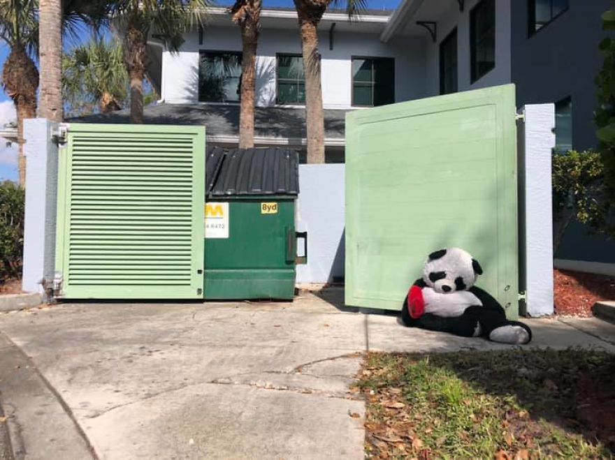 The Tale Of A Heartbroken, Homeless Panda Whose Life Was Transformed By The Love And Compassion Of Strangers The Tale Of A Heartbroken, Homeless Panda Whose Life Was Transformed By The Love And Compassion Of Strangers