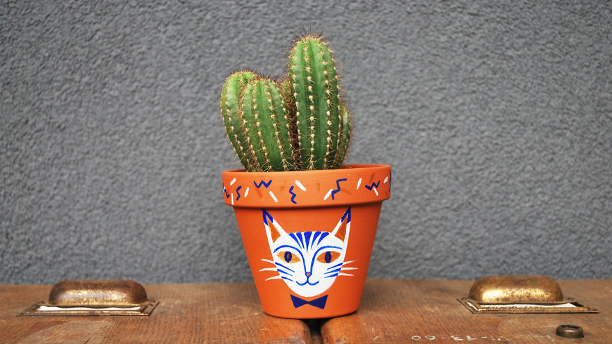 I Create Things For Cat &#038; Plant Lovers And It Started With A Giant Pot