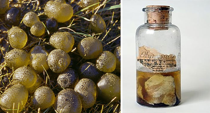 18 Historical Events That Nobody Has Been Able To Explain So Far 18 Historical Events That Nobody Has Been Able To Explain So Far