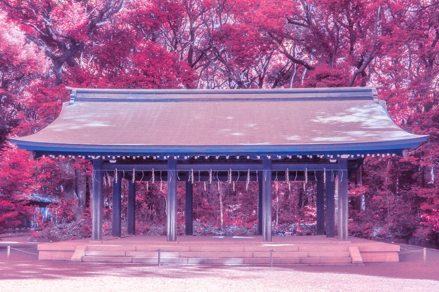 Here’s How The World Would Look Like If It Was All Pink Here’s How The World Would Look Like If It Was All Pink