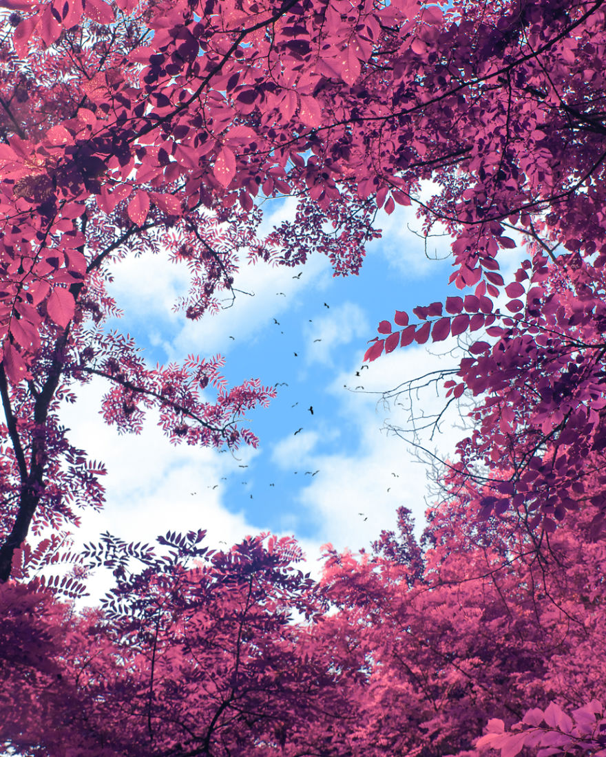 Here’s How The World Would Look Like If It Was All Pink Here’s How The World Would Look Like If It Was All Pink