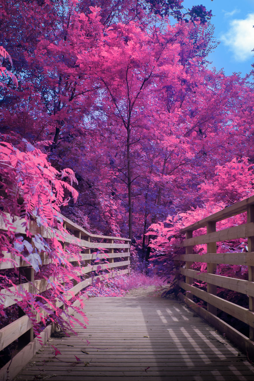 Here’s How The World Would Look Like If It Was All Pink Here’s How The World Would Look Like If It Was All Pink