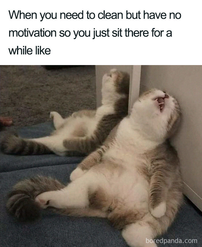 30 Of The Best Cleaning Memes 30 Of The Best Cleaning Memes