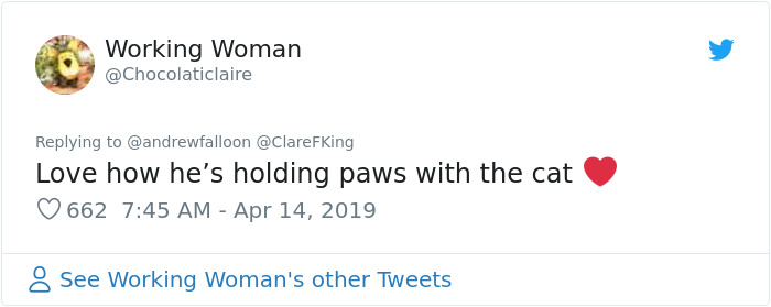 Man Recovering From Surgery Wakes Up To A Stranger Cat Cuddling Him Man Recovering From Surgery Wakes Up To A Stranger Cat Cuddling Him