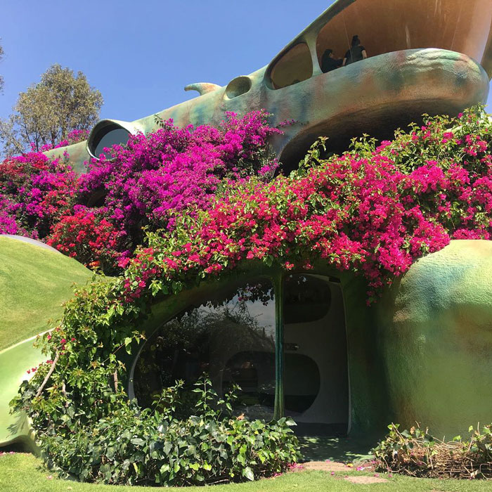 This Organic Hobbit House Is Perfectly Integrated Into Its Surroundings And Is Almost Invisible To Passers-By This Organic Hobbit House Is Perfectly Integrated Into Its Surroundings And Is Almost Invisible To Passers-By