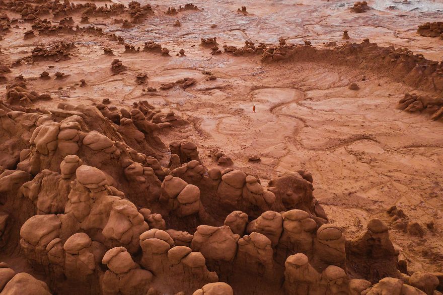 Space To Roam: A Tribute To Our Public Lands Space To Roam: A Tribute To Our Public Lands