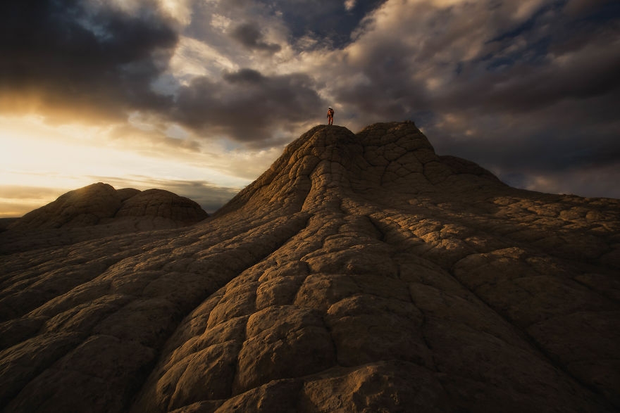 Space To Roam: A Tribute To Our Public Lands Space To Roam: A Tribute To Our Public Lands