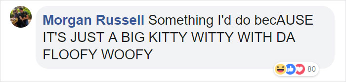 Man Thinks He&#8217;s Special Enough To Pet A Lion, Ends Up With A Severe Injury