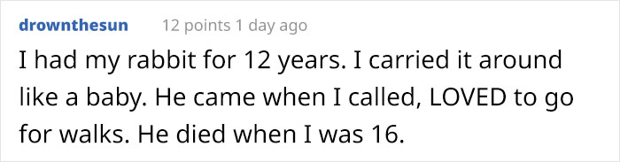 Bunny Owner Explains Why You Shouldn’t Get One Before Easter Bunny Owner Explains Why You Shouldn’t Get One Before Easter