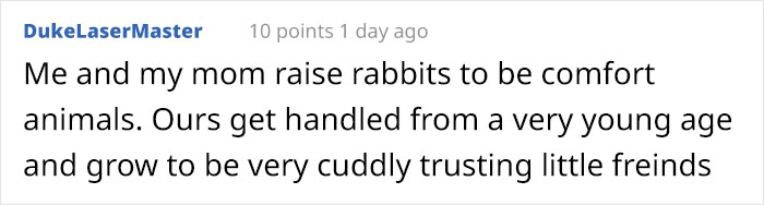 Bunny Owner Explains Why You Shouldn’t Get One Before Easter Bunny Owner Explains Why You Shouldn’t Get One Before Easter