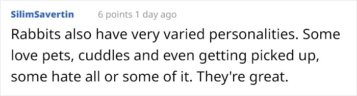 Bunny Owner Explains Why You Shouldn’t Get One Before Easter Bunny Owner Explains Why You Shouldn’t Get One Before Easter