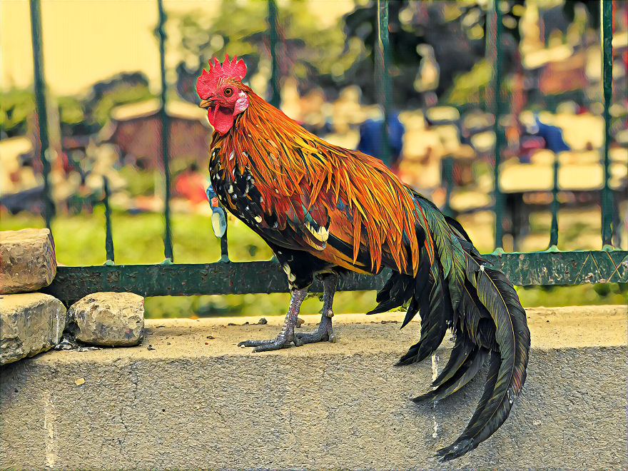 Memories Of Nepal (Almost Entirely On iPhone)