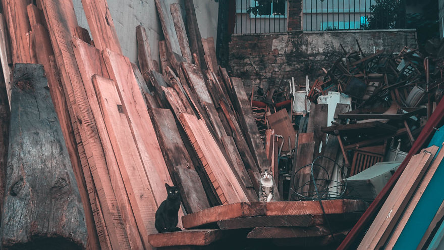 I&#8217;m A Conceptual Photographer. I Reveal How It&#8217;s Done Behind The Scenes