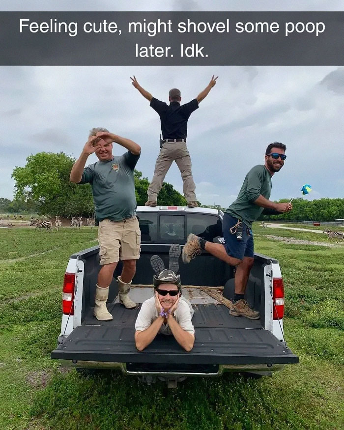 30 Hilarious Responses To #FeelingCute Challenge 30 Hilarious Responses To #FeelingCute Challenge