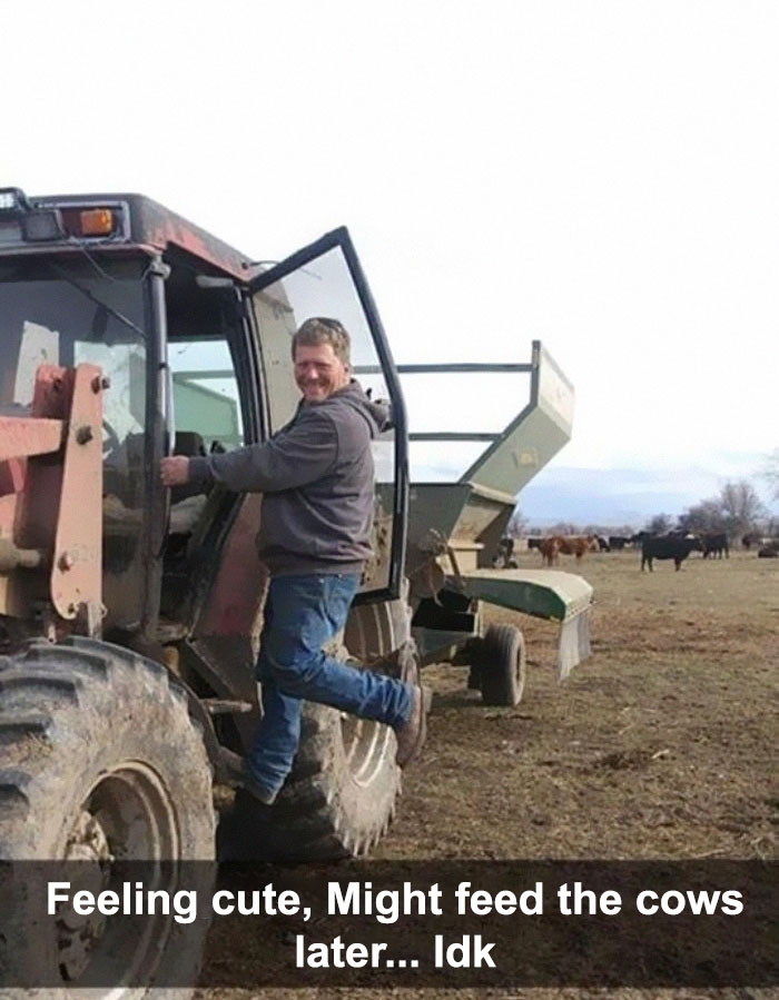 30 Hilarious Responses To #FeelingCute Challenge 30 Hilarious Responses To #FeelingCute Challenge